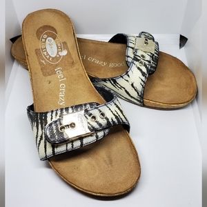 Dr. Scholls zebra slide